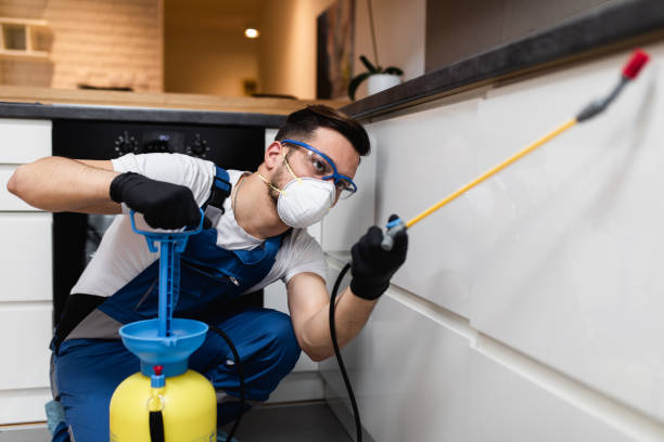 Best Termite Control Services  in Poquonock Bridge, CT
