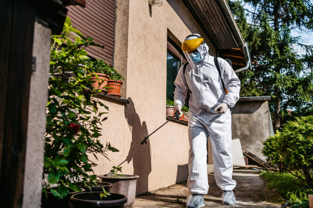 Best Emergency Pest Control  in Poquonock Bridge, CT
