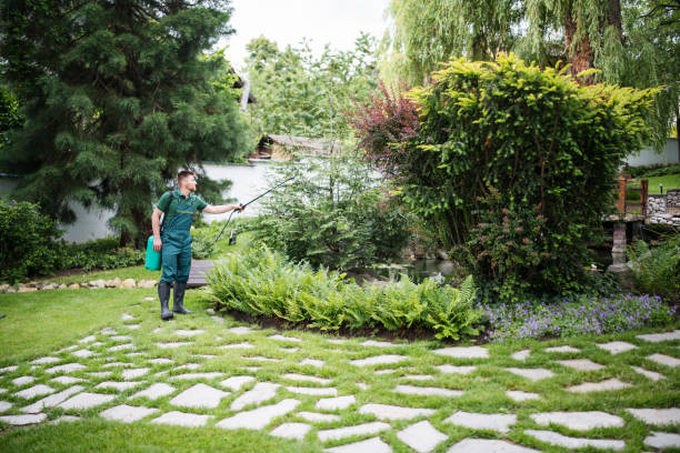 Best Affordable Pest Control Services  in Poquonock Bridge, CT