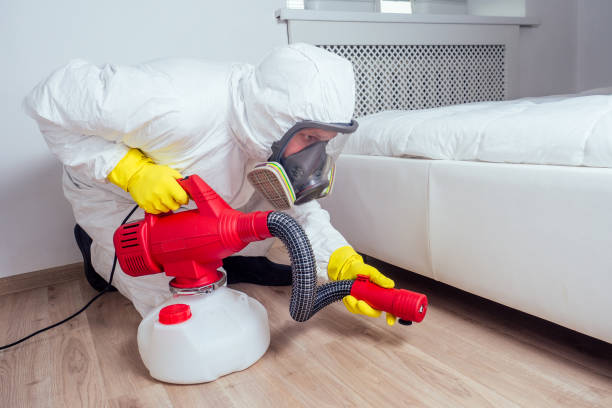 Best Local Pest Control Services  in Poquonock Bridge, CT