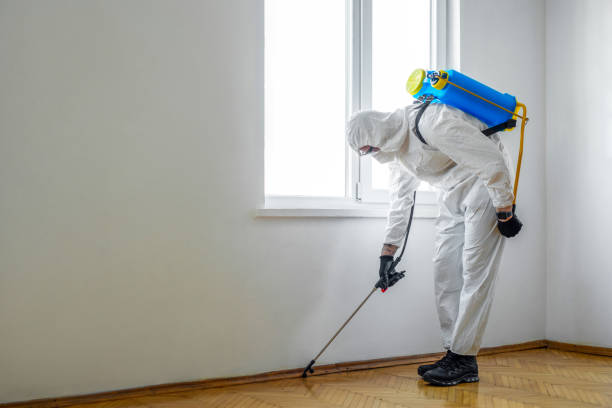 Professional Pest Control in Poquonock Bridge, CT