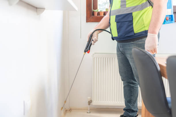Best Flea Control Services  in Poquonock Bridge, CT