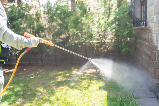 Best Exterminator Services  in Poquonock Bridge, CT