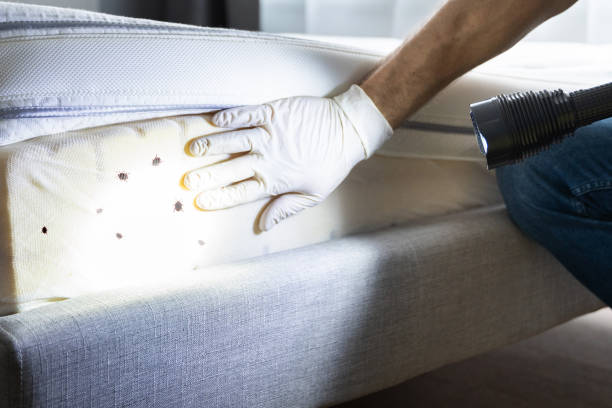 Best Exterminator Services  in Poquonock Bridge, CT